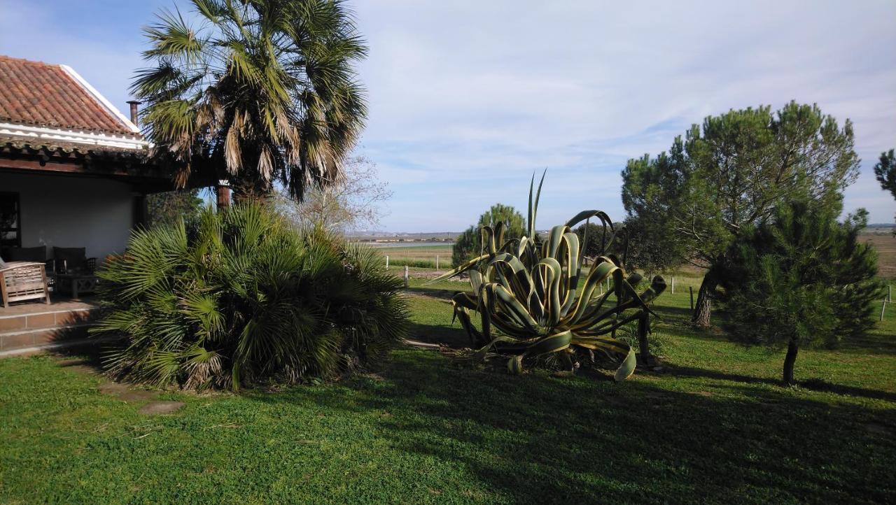 Lodge Monte Do Sobral Alcáçovas Exterior foto